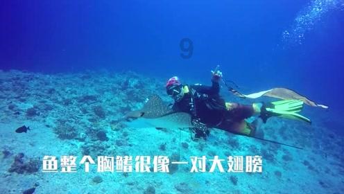 超奥特曼格斗